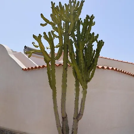 Σπίτι διακοπών Casa El Flamenco Zoutmeer