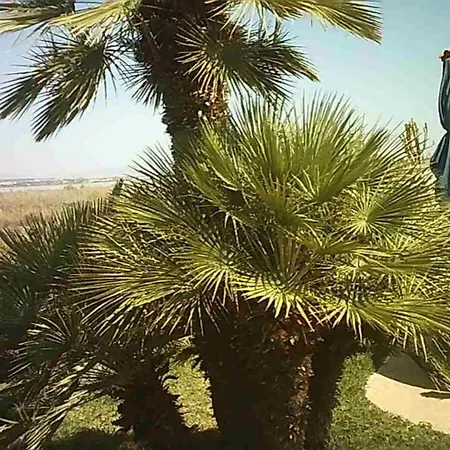 Σπίτι διακοπών Casa El Flamenco Zoutmeer Τορεβιέχα